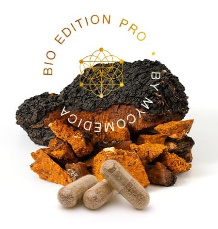 Chaga PRO